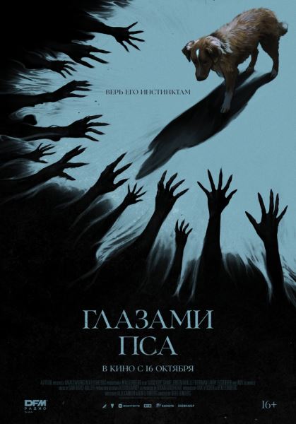 Животные могут получить собственную номинацию на «Оскар»