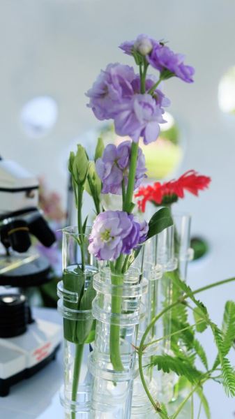 Самый красивый фестиваль лета: в Царицыно показывают великолепные сады18