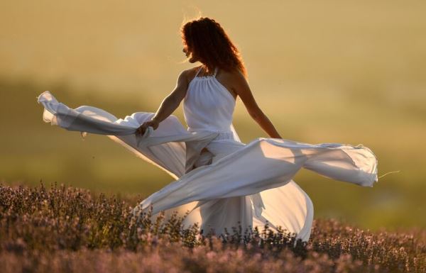 Места для самых лучших фотографий. В Крыму цветут лавандовые поля1