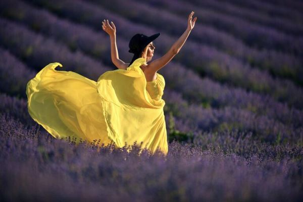 Места для самых лучших фотографий. В Крыму цветут лавандовые поля0