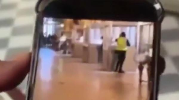 Сотрудница Лувра рассказала о том, как охрана помешала ограблению1