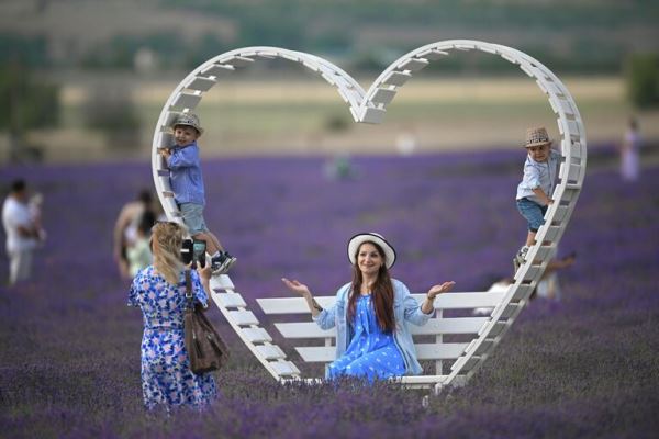Места для самых лучших фотографий. В Крыму цветут лавандовые поля2