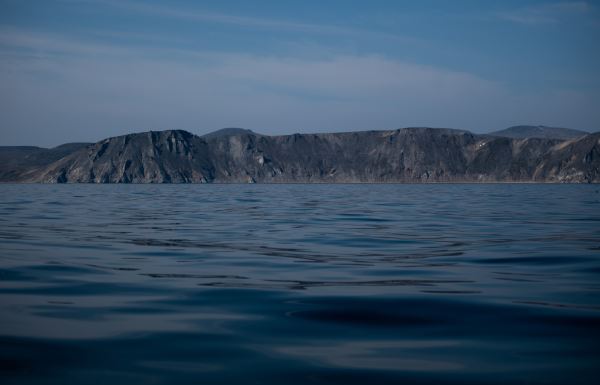 «Амбициозный проект»: как набирает популярность идея создания тоннеля между Россией и США