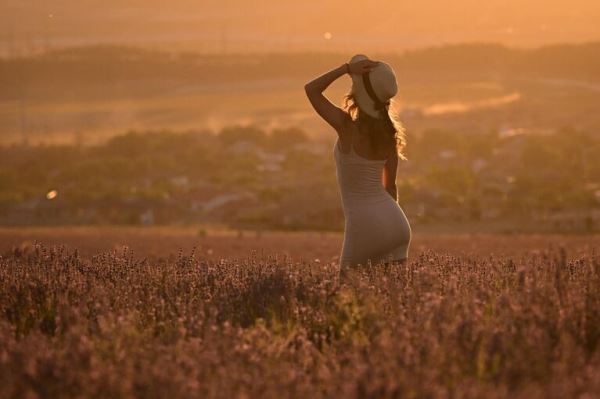 Места для самых лучших фотографий. В Крыму цветут лавандовые поля13