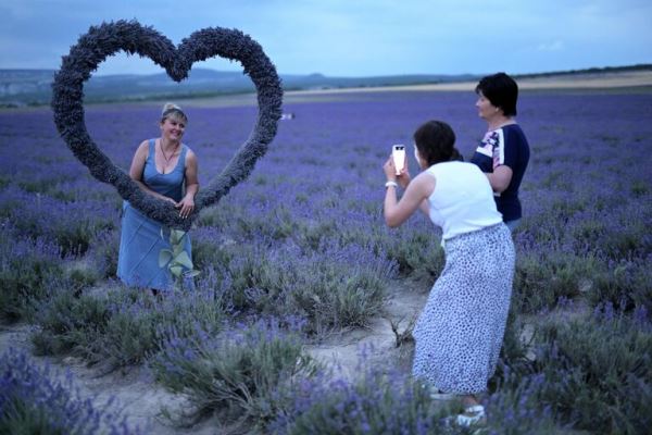 Места для самых лучших фотографий. В Крыму цветут лавандовые поля7
