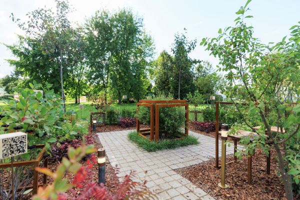 Самый красивый фестиваль лета: в Царицыно показывают великолепные сады10